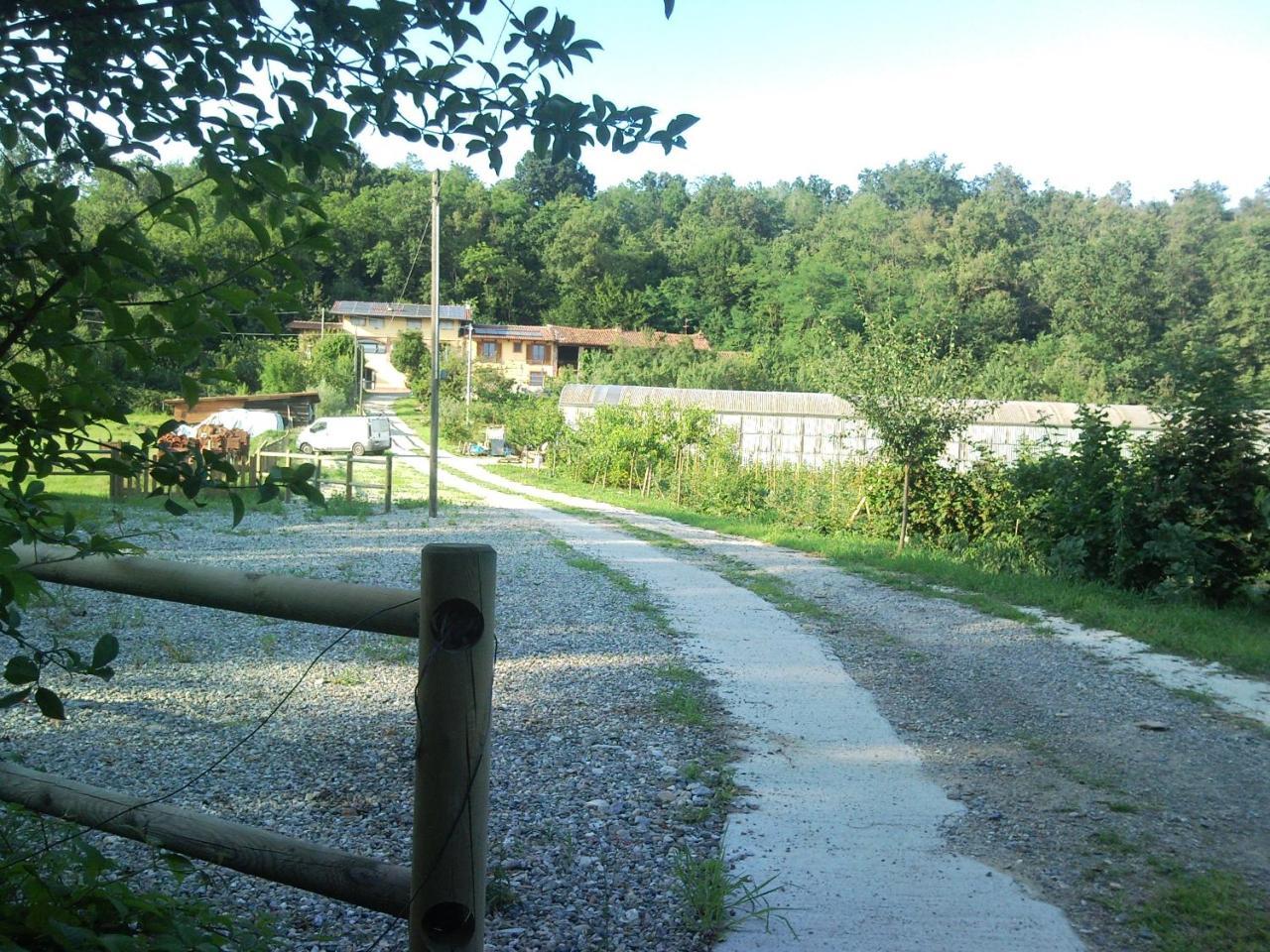 La Bedina