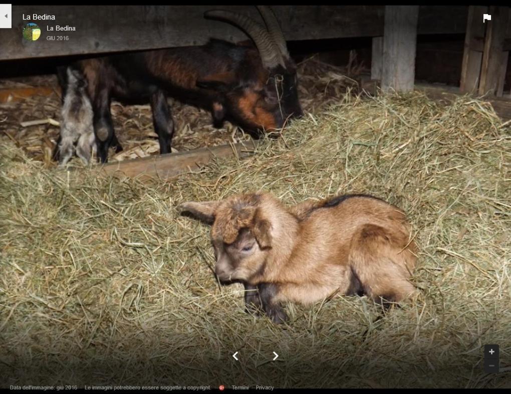 La Bedina Séjour à la ferme Rivara