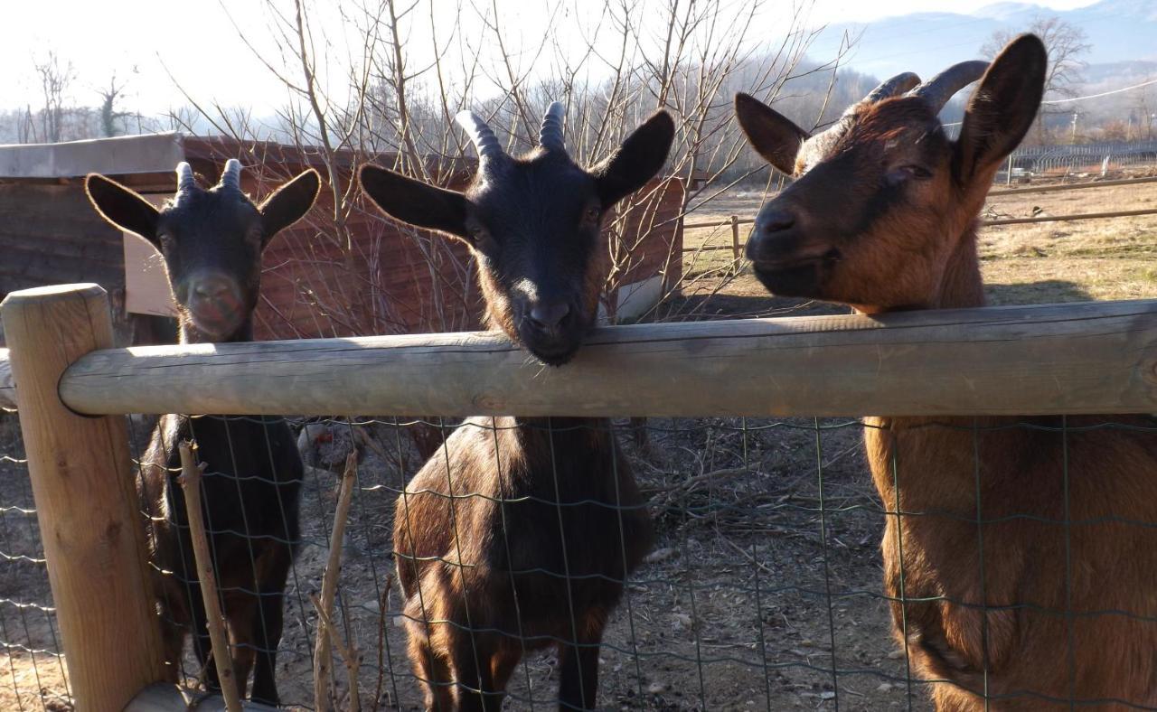 Séjour à la ferme La Bedina Rivara